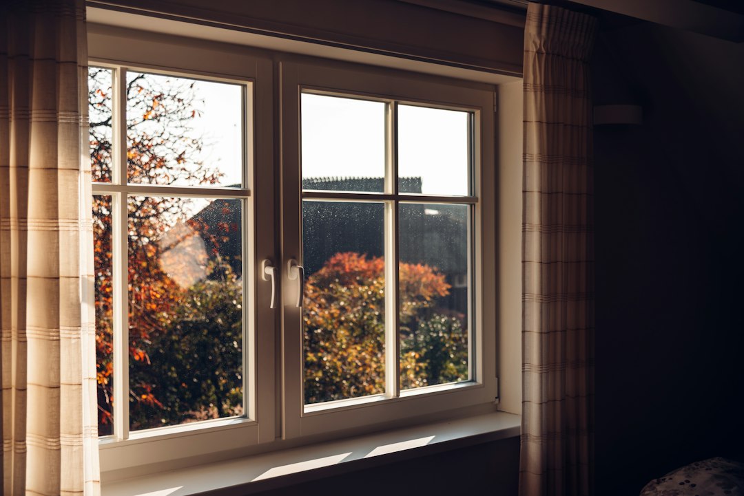 Window offers